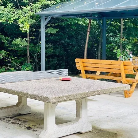 Komfort-ferienhaus - - Entspannung, Natur, Wald, Familie #51