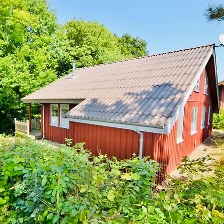 Prázdninový dům Komfort-ferienhaus - - Entspannung, Natur, Wald, Familie #51