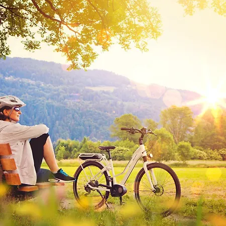 Komfort-ferienhaus - - Entspannung, Natur, Wald, Familie #51