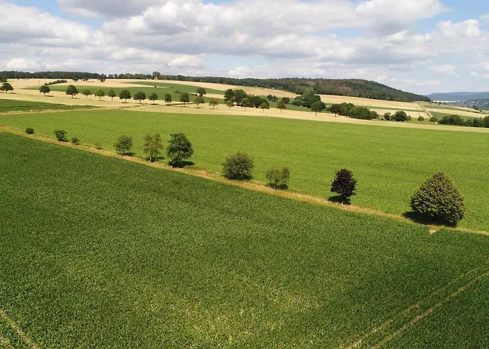Vakantiehuis Komfort-ferienhaus - - Entspannung, Natur, Wald, Familie #51 Extertal