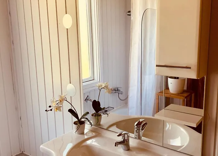 Komfort-ferienhaus - - Entspannung, Natur, Wald, Familie #51 Vakantiehuis